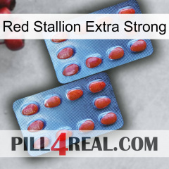 Red Stallion Extra Strong 05